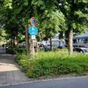 Die Stadt Bayreuth weist daraufhin, dass Fuß- und Radwege frei von überhängendem Bewuchs sein muss. Archivbild: Jürgen Lenkeit