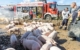 700 Ferkel sind bei einem Unfall in Unterfranken gestorben. Bild: NEWS5/Merzbach