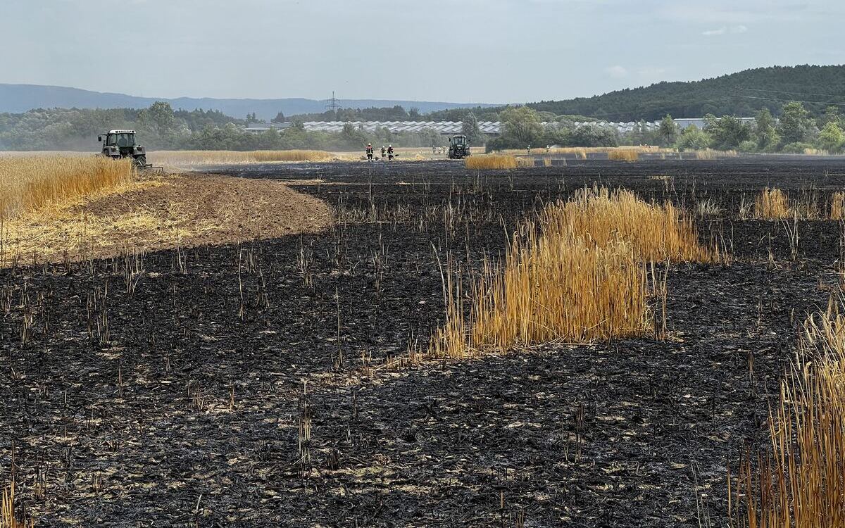 Am Donnerstagmittag (14.07.2022) geriet in Röbersdorf ein Weizenfeld in Brand. Foto: NEWS5/Merzbach