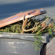 Das Amt für Umwelt- und Klimaschutz Bayreuth gibt Hinweise zur Entsorgung pflanzlicher Abfälle. Symbolbild: Pixabay