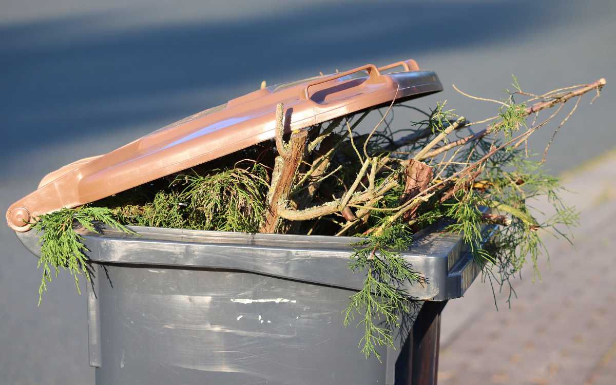Das Amt für Umwelt- und Klimaschutz Bayreuth gibt Hinweise zur Entsorgung pflanzlicher Abfälle. Symbolbild: Pixabay
