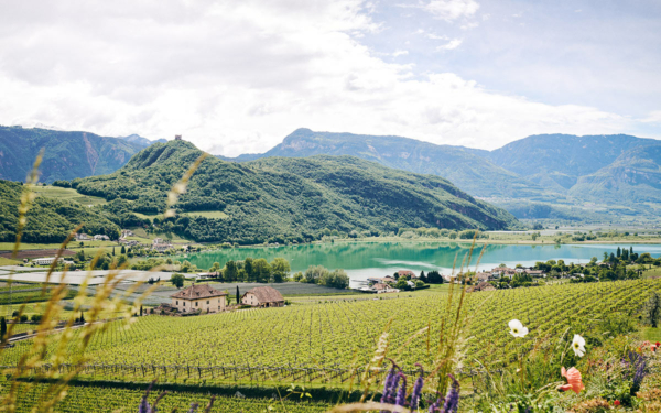 Rund um den Kalterer See gibt es zahlreiche Plätze für ein leckeres Wein-Picknick – malerische Ausblicke garantiert ©IDM Südtirol/Manuel Ferrigato