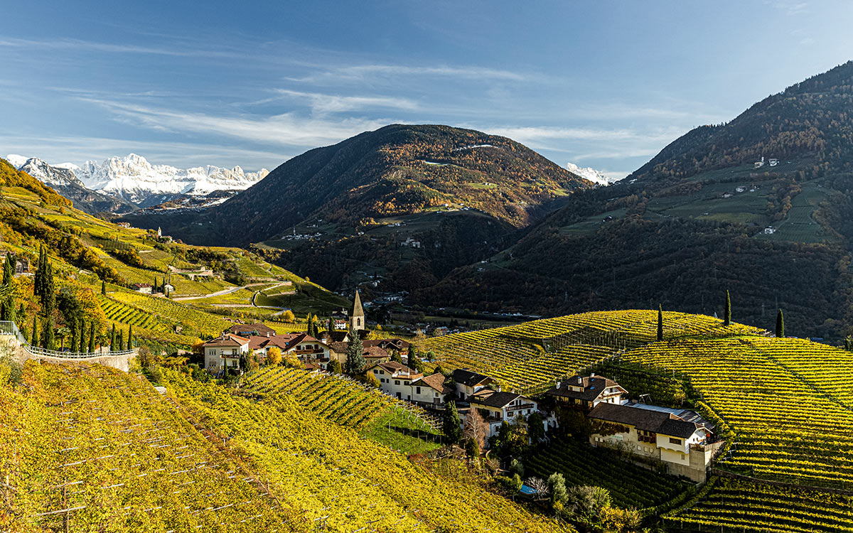 Ein beliebtes Fotomotiv: Der Blick auf St. Magdalena und dahinter die majestätischen Dolomiten ©IDM Südtirol Wein/Tiberio Sorvillo