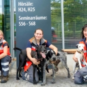 Das Team aus Frauchen und Rettungshunden: v. li. Henry mit Caroline, Grimm und Toto mit Julia, Grisu mit Manuela. Foto: BRK Kreisverband Bayreuth