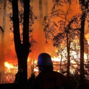 Bei einem Scheunenbrand in Oberfranken Feuer greift das Feuer auch auf ein Waldstück über. Foto NEWS5 / Grundmann