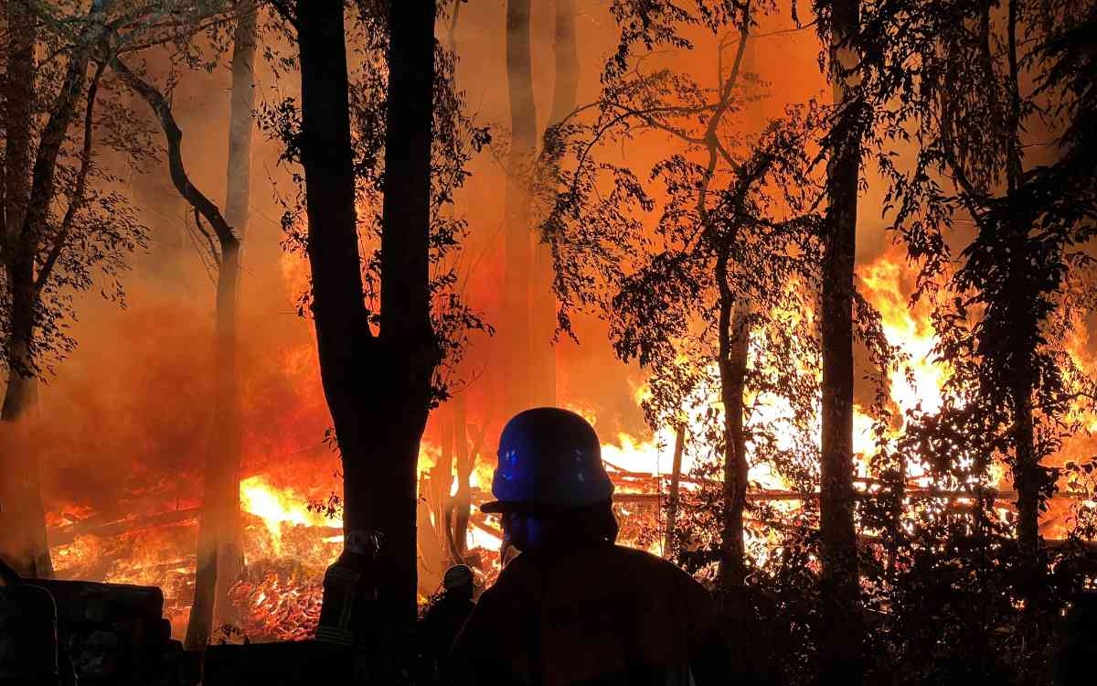 Bei einem Scheunenbrand in Oberfranken Feuer greift das Feuer auch auf ein Waldstück über. Foto NEWS5 / Grundmann