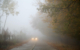 Regen und Nebel können die Verkehrssicherheit beeinträchtigen. Symbolbild: Pixabay