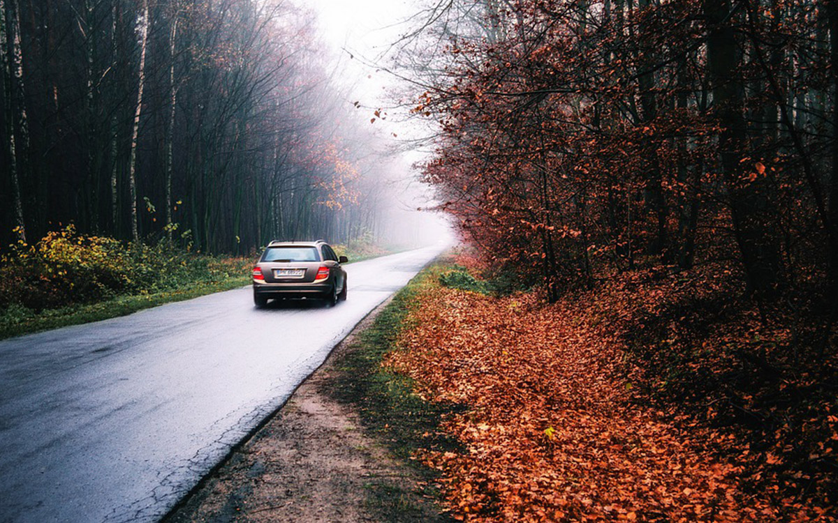 Autofahrt im Herbst