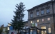 Sorgt für Gesprächsstoff in Bayreuth: der neue Weihnachtsbaum am Hauptbahnhof. Foto: Johannes Pittroff