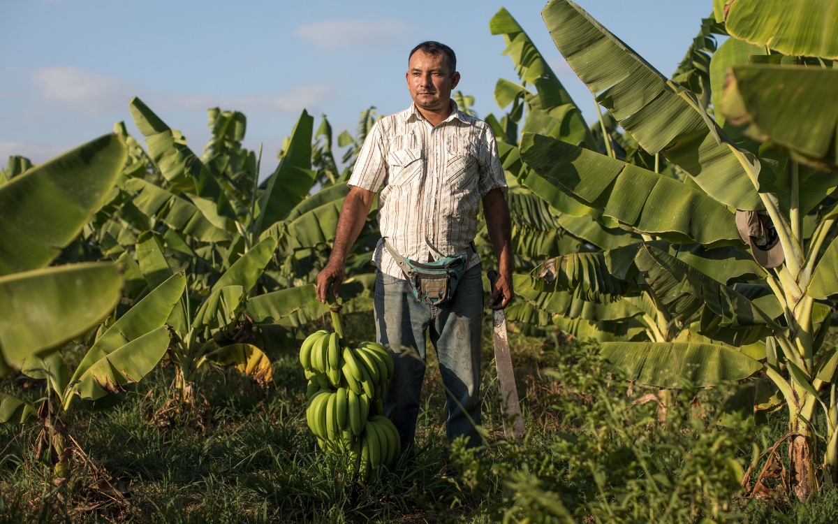 Produkte mit dem Fairtrade-Siegel versprechen bessere Arbeits- und Lebensbedingungen für die Menschen, die sie anbauen. Foto: djd/Fairtrade/Angela Ponce