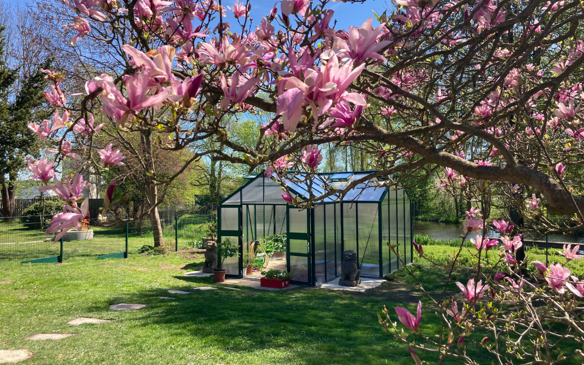 Wenn im Frühjahr die Magnolien blühen, fängt im Gewächshaus schon die Erntezeit an. Foto: djd/www.wamadirekt.de