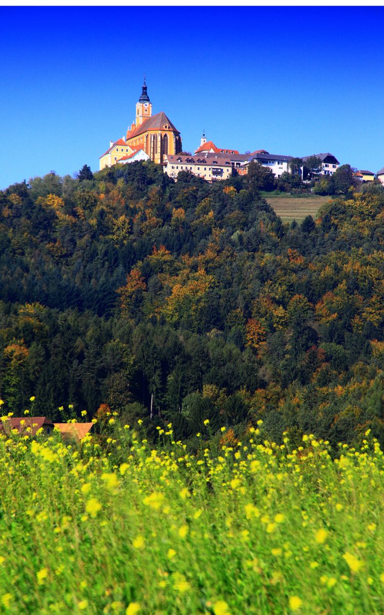 Die Steiermark hat viel Natur zu bieten, aber auch schöne Gebäude und Landschaften, wie hier abgebildet der Pöllauberg.