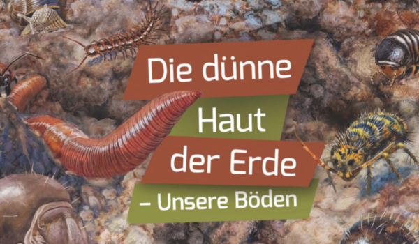 Diese interaktive Ausstellung des Senckenberg Museums kommt nach Bayreuth. Symbolbild: Senckenberg Naturmuseum Frankfurt
