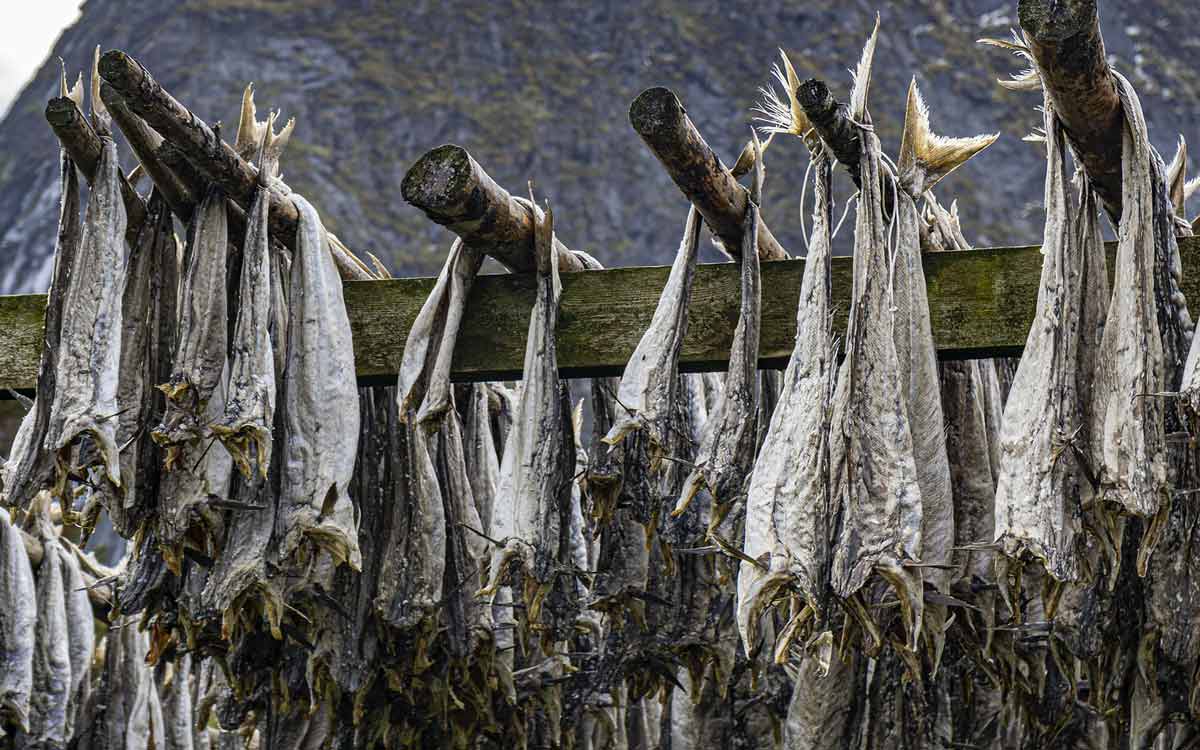 Der Stockfisch entsteht durch lange Trocknung an der Luft, wie hier in Norwegen. Von dort findet er seinen Weg in Frankenwald und Fichtelgebirge. Foto: Pixabay