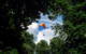 Ein Gleitschirmflieger ist in einem Waldstück bei Stadtsteinach abgestürzt. Symbolbild: Pixabay