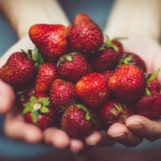 Manche sagen, selbst gepflückt schmecken Erdbeeren am besten. Symbobild: Pixabay