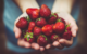 Manche sagen, selbst gepflückt schmecken Erdbeeren am besten. Symbobild: Pixabay