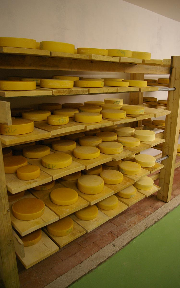 Käse muss gut gelagert werden, damit das Aroma stimmt ©Hof zu Fall