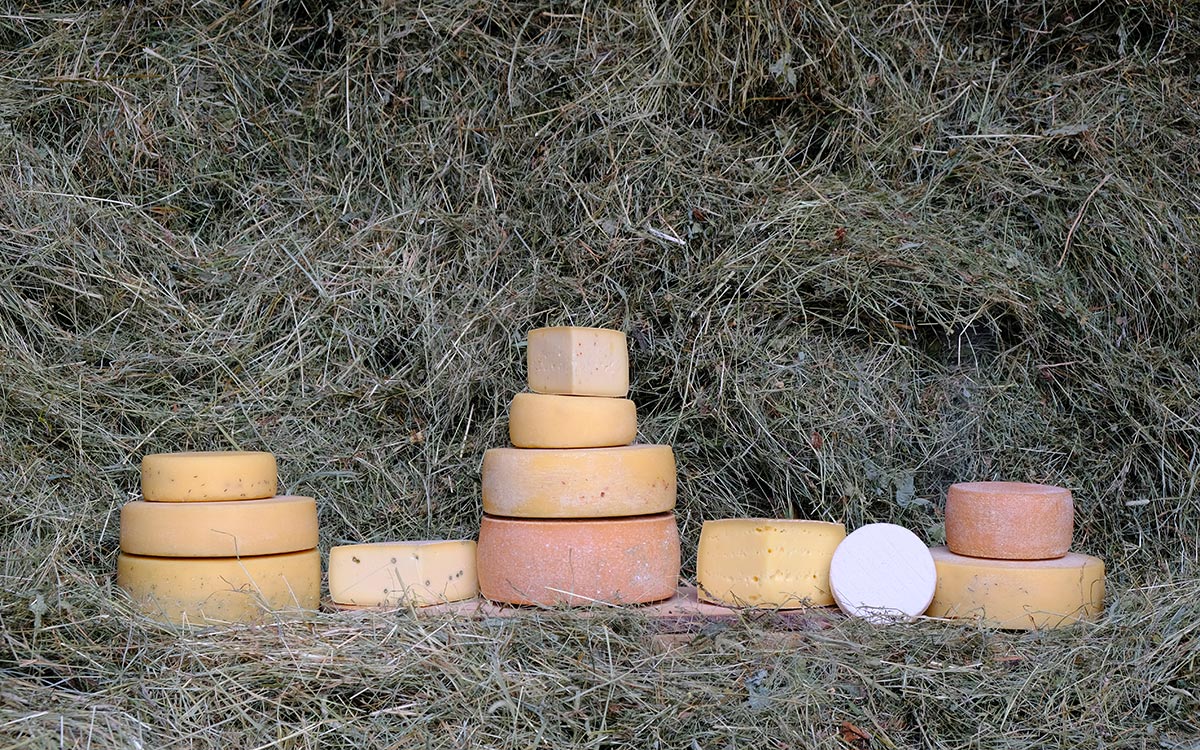 Der Käse im Heu ist auch Programm bei der Käserei Hof zu Fall ©Hof zu Fall