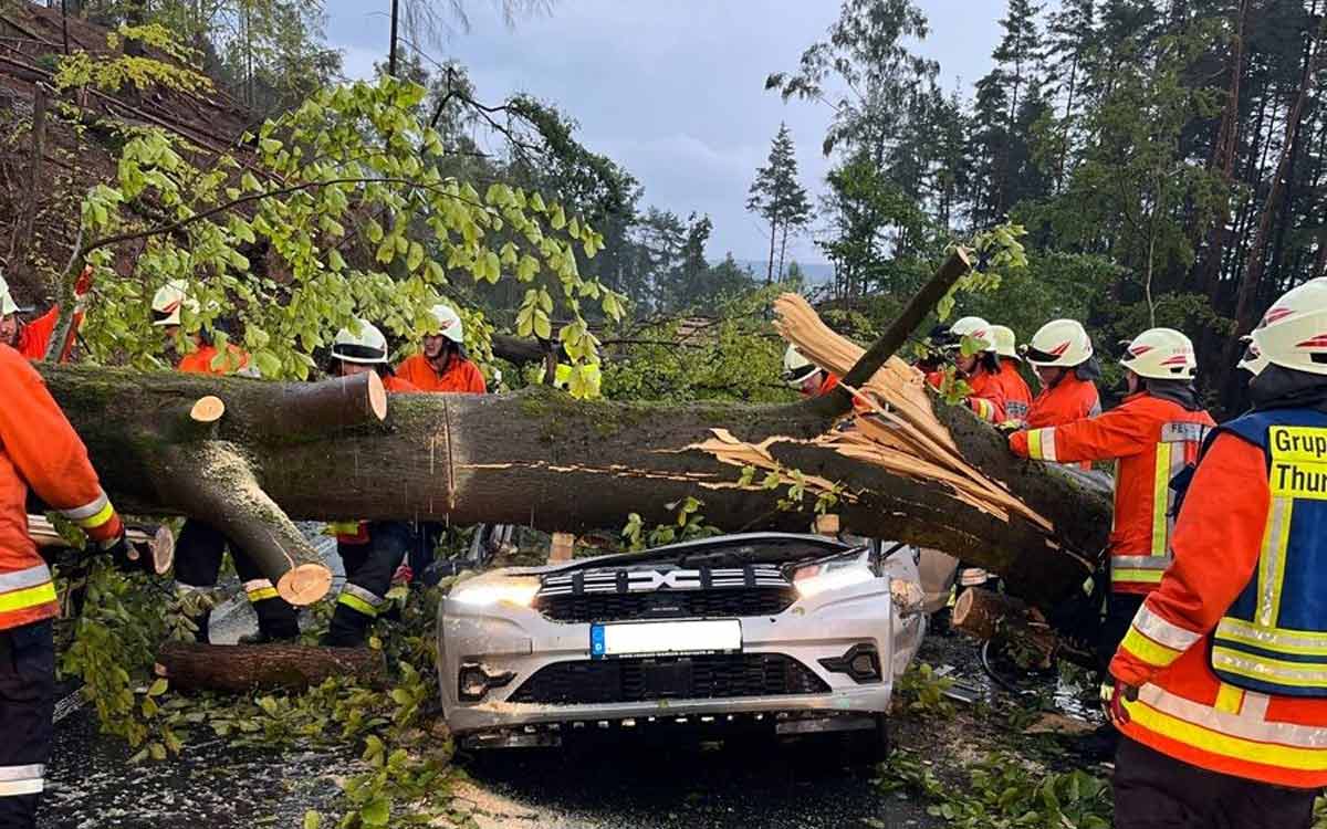 Der Baum stürzte bei Limmersdorf auf den fahrenden Dacia. Foto: Polizei Kulmbach