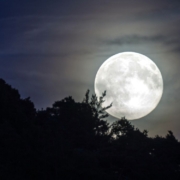 In der Nacht vom 31. August ereignet sich ein seltener “Super Blue Moon” am Nachthimmel. Symbolbild: Pixabay