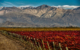 Im Hintergrund die Anden und davor die argentinischen Weinberge, die perfekte Böden für den argentinischen Wein bieten ©Dieter Meiers Ojo de Agua