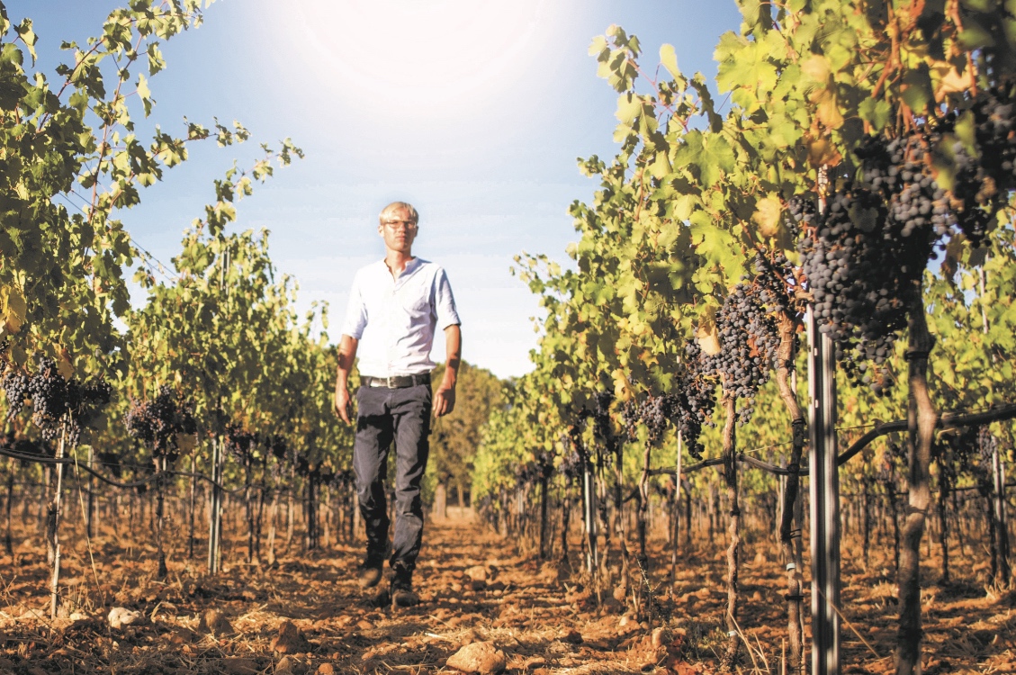 Der Winzer Timo Fink von Wein-Wert in seinem Element in seinen Weinbergen auf Mallorca. Copyright: WeinWert SL/Vino de la Isla SL