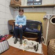 Evi Zenkel verbringt gerne Zeit mit den Katzen im Tierheim Bayreuth. Hier spielt sie mit dem Katzenkind Anton. Foto: Jennifer Burgmayr