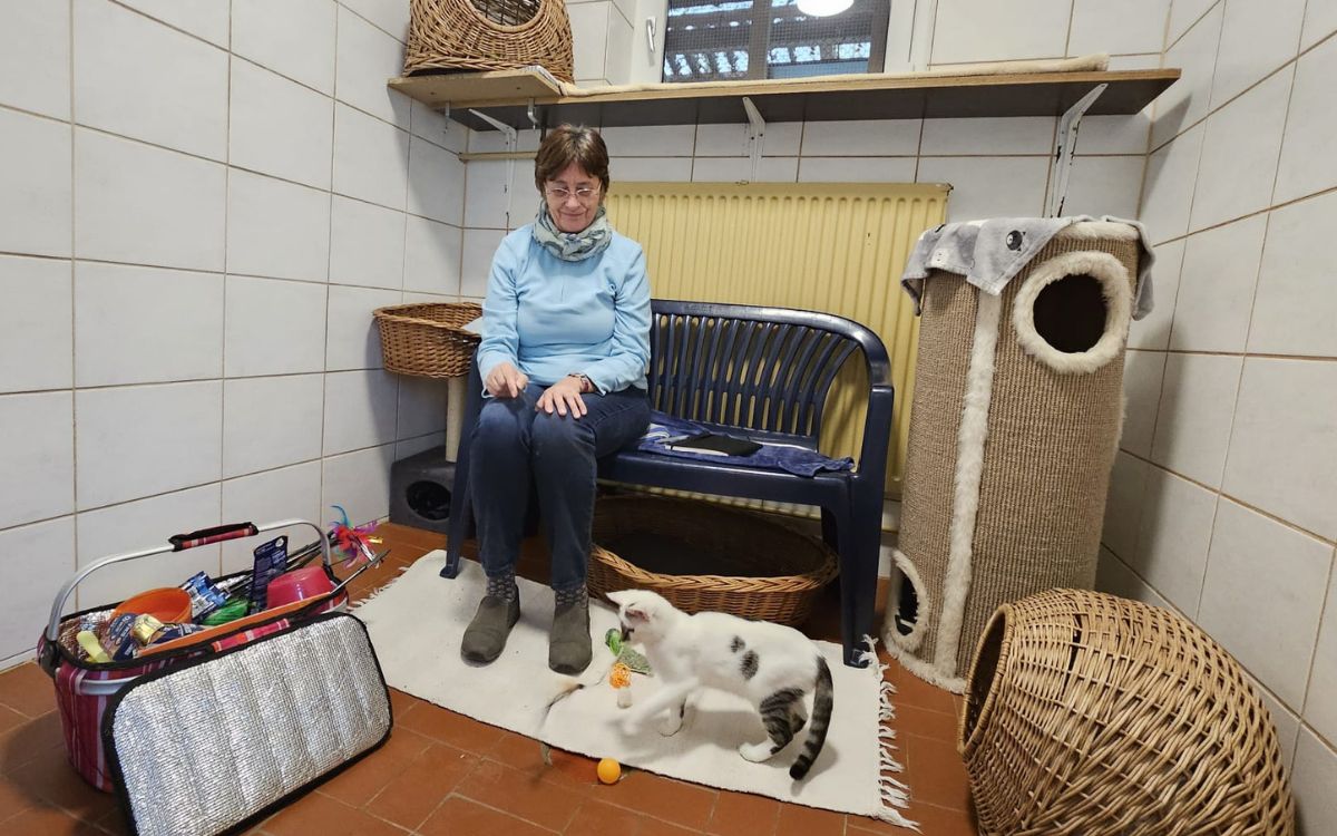 Evi Zenkel verbringt gerne Zeit mit den Katzen im Tierheim Bayreuth. Hier spielt sie mit dem Katzenkind Anton. Foto: Jennifer Burgmayr