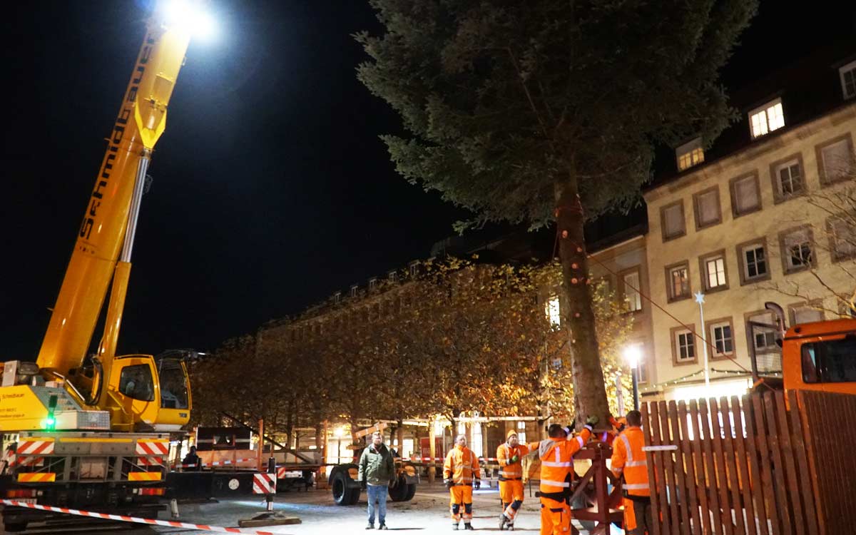 Mithilfe eines Krans hat der Bauhof am Abend den Weihnachtsbaum auf dem Bayreuther Marktplatz aufgestellt. Foto: Johannes Pittroff