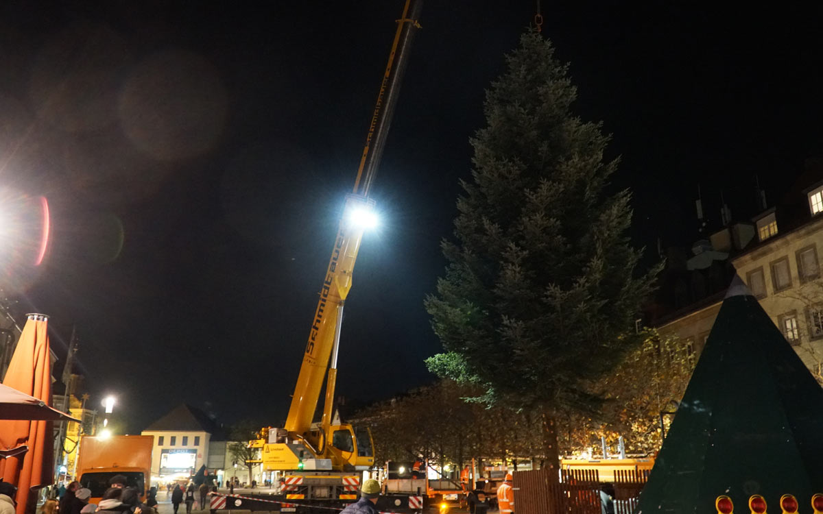 Mithilfe eines Krans hat der Bauhof am Abend den Weihnachtsbaum auf dem Bayreuther Marktplatz aufgestellt. Foto: Johannes Pittroff