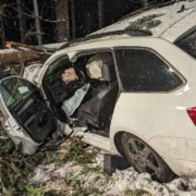 Ein 29-Jähriger fuhr bei Schwarzenbach an der Saale gegen zwei Bäume, einer der Bäume krachte auf das Auto. Foto: NEWS5 / Mertel