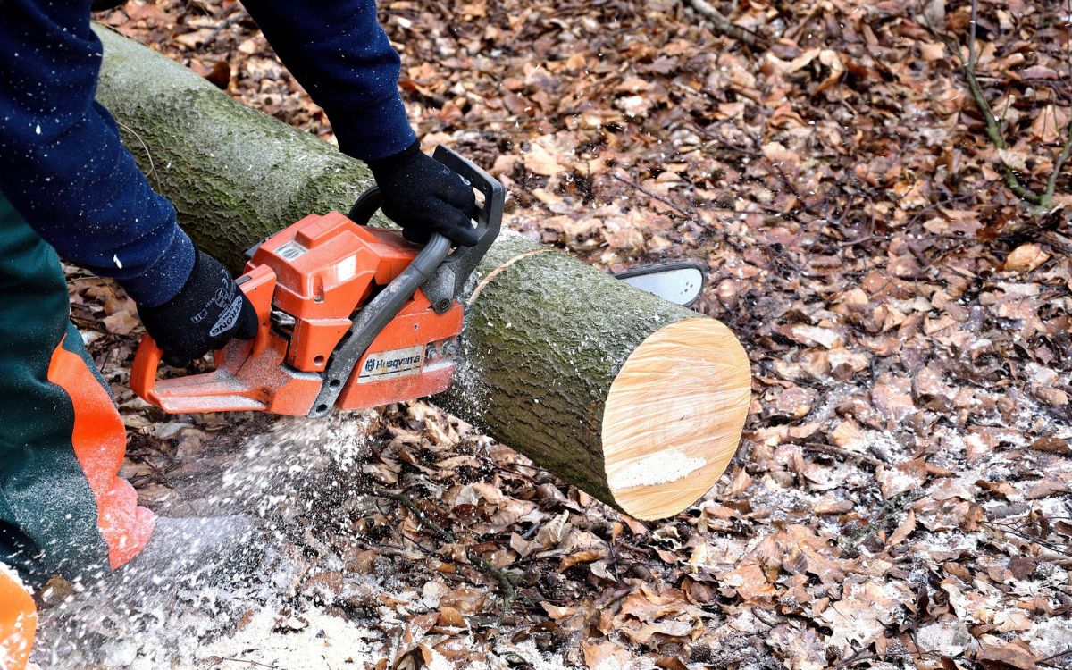 In der Nähe von Kemnath quetschte ein Baumstamm einen 67-Jährigen während Holzarbeiten ein. Symbolfoto: Pixabay
