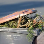 Die Abfallberatung des Landkreises Bayreuth erklärt, wie der Müll der Festtage richtig entsorgt wird. Symbolbild: Pixabay