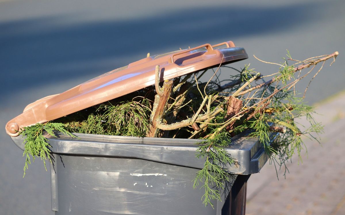 Die Abfallberatung des Landkreises Bayreuth erklärt, wie der Müll der Festtage richtig entsorgt wird. Symbolbild: Pixabay