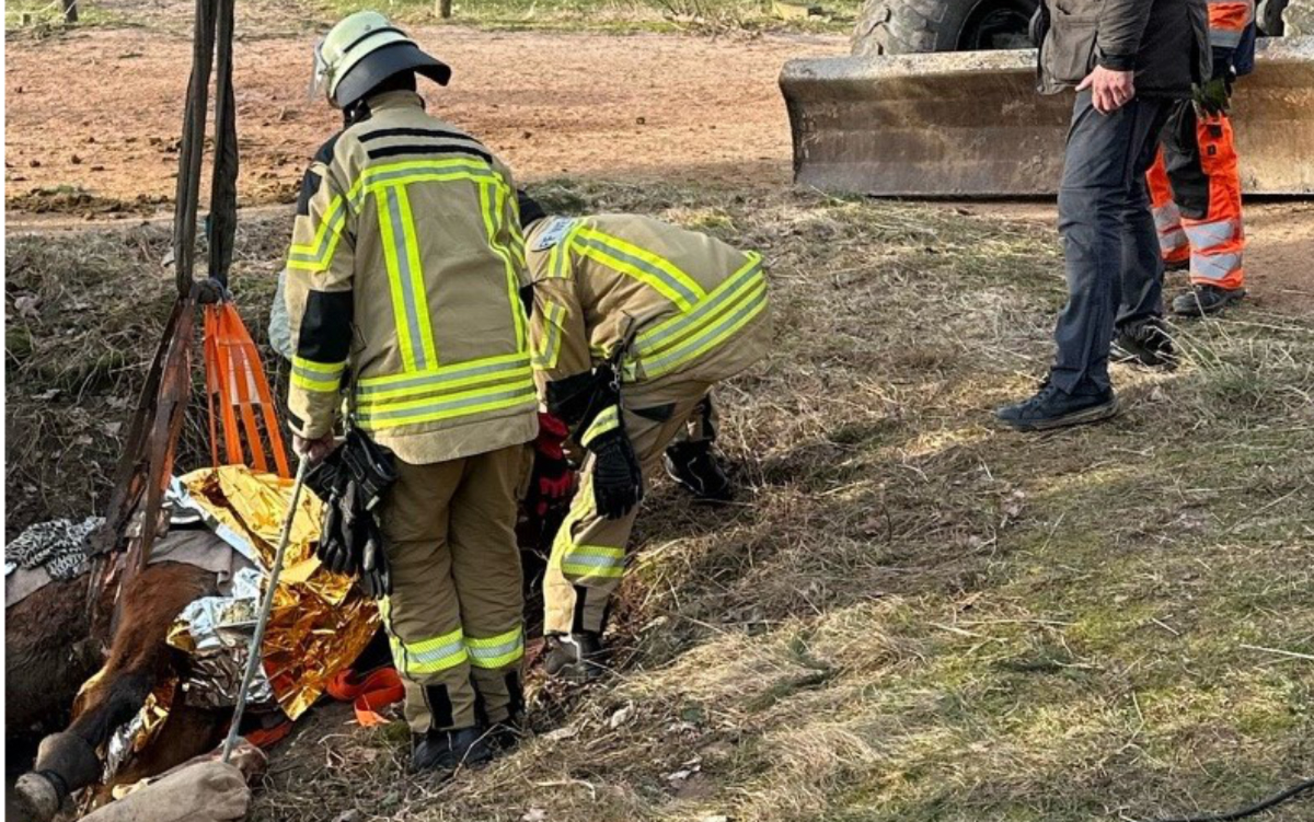 Im Landkreis Bayreuth musste die Feuerwehr ein Pferd aus einem Graben retten. Foto: Freiwillige Feuerwehr Weidenberg