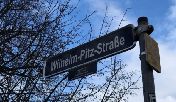 Durch Baumfällarbeiten kann es in der Wilhelm-Pitz-Straße zu Verkehrsbeeinträchtigungen kommen. Foto: Bjarne Bahrs