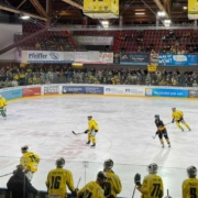 1070 Zuschauer verfolgten das Spiel im Bayreuther Eisstadion. Foto: bt-Redaktion