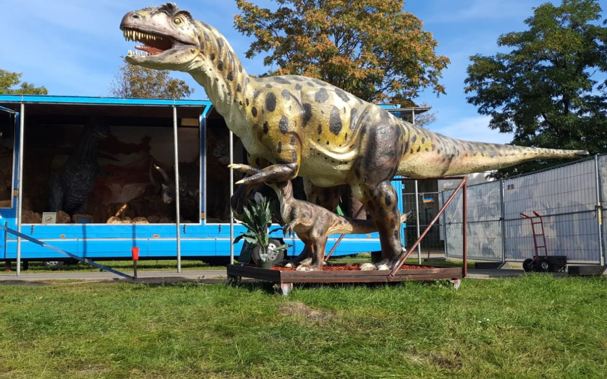 Auch der Tyrannosaurus wird zusehen sein. Foto: Jurassic Freizeitpark
