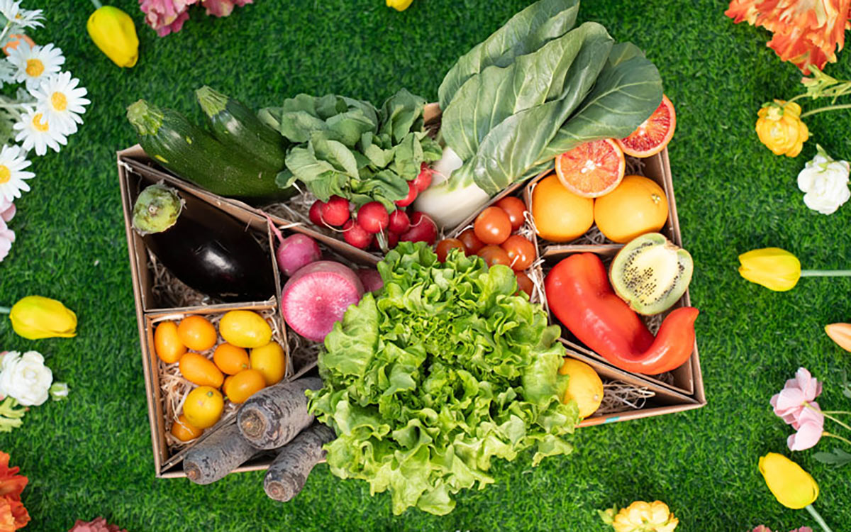Obst- und Gemüse von Bio Landwirten – hier in der Box von etepetete ©etepetete