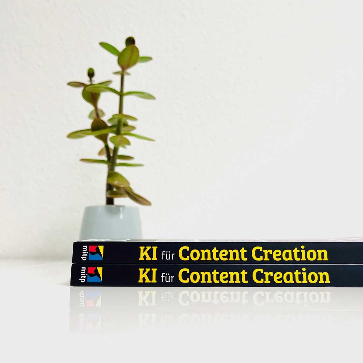 Mit der KI für Content Creation gibt es viele Ticks und Tripps, die erfolgreich im Beruf und Alltag einzusetzen sind. © mitp.de