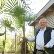Die neue Palme am Röhrensee wächst und gedeiht, wie Stadtgartenamts-Leiter Robert Pfeifer zeigt. Foto: Johannes Pittroff
