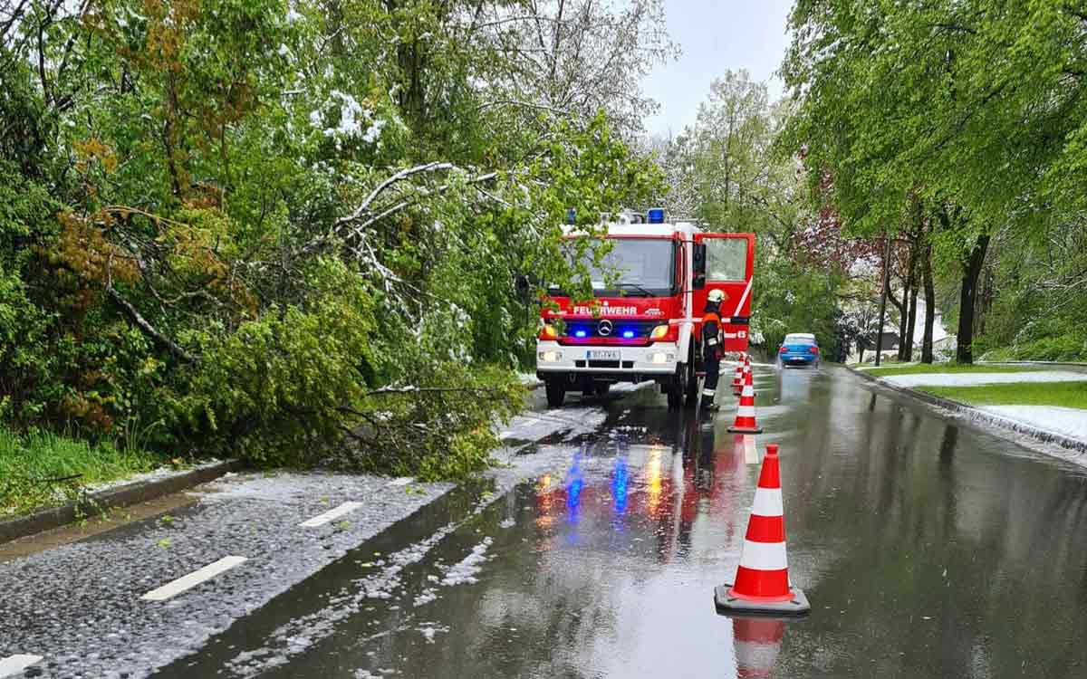 Die Bayreuther Feuerwehr räumt an der Kreuzung Bernecker Straße/Eremitagestraße einen Baum beiseite, der in die Fahrbahn ragt. Foto: Feuerwehr Bayreuth